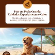 Pets em Praia Grande: Cuidados Especiais com o Calor