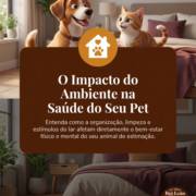 O Impacto do Ambiente na Saúde do Seu Pet