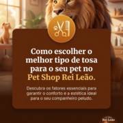 Como escolher o melhor tipo de tosa para o seu pet no Pet Shop Rei Leão
