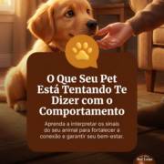 O Que Seu Pet Está Tentando Te Dizer com o Comportamento