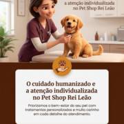 O cuidado humanizado e a atenção individualizada no Pet Shop Rei Leão