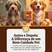 Antes e Depois: A Diferença de um Bom Cuidado Pet