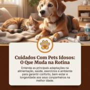Cuidados Com Pets Idosos: O Que Muda na Rotina