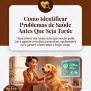 Como Identificar Problemas de Saúde Antes Que Seja Tarde