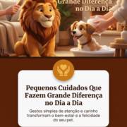Pequenos Cuidados Que Fazem Grande Diferença no Dia a Dia