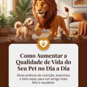 Como Aumentar a Qualidade de Vida do Seu Pet no Dia a Dia