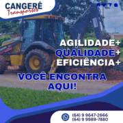 Qualidade e eficiência!!