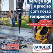 Eficiência e Precisão: Conheça o Nosso Rompedor, Para uma Demolição Precisa e Segura!