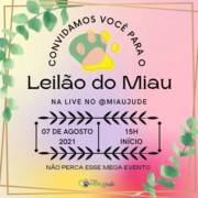 MiAujude realiza Leilão do Miau para ajudar nas despesas do Projeto - Saiba mais