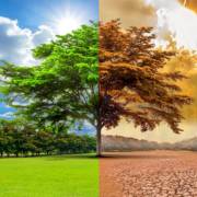Dia Nacional de Conscientização sobre as Mudanças Climáticas, mas o que é isso?