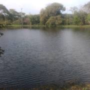 Prefeitura dá Início a Limpeza de Lagos no Parque Ecológico.