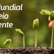 Dia Mundial do Meio Ambiente.