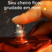 A Essência do Prazer