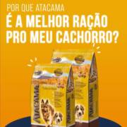 Por que Atacama é a melhor ração para o meu cachorro?