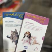 Livre de Parasitas? Só com os Antiparasitários da Animais & Cia!