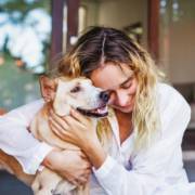 Tudo para o seu pet em um só lugar em Mineiros