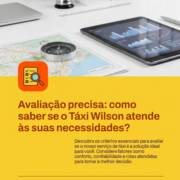 Avaliação precisa: como saber se o Táxi Wilson atende às suas necessidades?