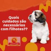Quais cuidados são necessários com filhotes?