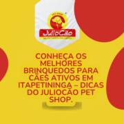 Conheça os Melhores Brinquedos Para Cães Ativos em Itapetininga – Dicas do JulioCão PET SHOP.
