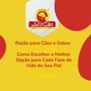 Ração para Cães e Gatos: Como Escolher a Melhor Opção para Cada Fase da Vida do Seu Pet