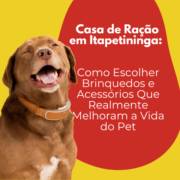 Casa de Ração em Itapetininga: Como Escolher Brinquedos e Acessórios Que Realmente Melhoram a Vida do Pet