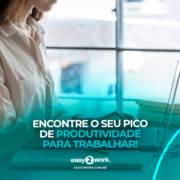 ENCONTRE O SEU PICO DE PRODUTIVIDADE PARA TRABALHAR!