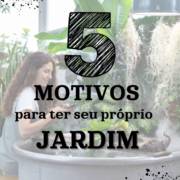 5 Motivos para ter seu próprio jardim
