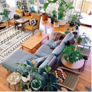 O que é o estilo Urban Jungle