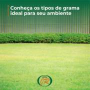 Conheça os tipos de grama ideal para o seu ambiente