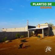Vendas e instalações de gramas para jardins em Americana