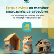 Erros a evitar ao escolher uma casinha para roedores