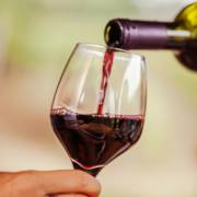 Vinhos que vão bem com todas as ocasiões!