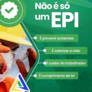 Segurança que Vai Além do Equipamento