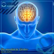 Dia mundial do Cérebro! Dia 22 de julho.