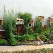 Meliponário 2: bairro Vila Municipal, Jundiaí - SP