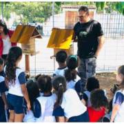 Abelhas nas escolas