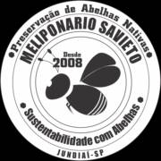 Meliponario Savieto - Sustentabilidade com Abelhas.