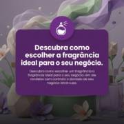 Descubra como escolher a fragrância ideal para o seu negócio