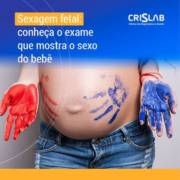 sexagem fetal : conheça o exame que mostra o sexo do bebê
