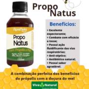 Conheça o Proponatus: A Harmoniosa Mistura de Própolis e Mel para o Seu Bem-Estar