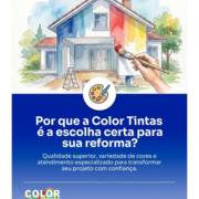 Por que a Color Tintas é a escolha certa para sua reforma?