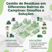 Gestão de Resíduos em Diferentes Bairros de Campinas: Desafios e Soluções