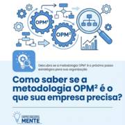 Como saber se a metodologia OPM² é o que sua empresa precisa?