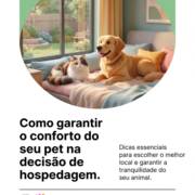 Como garantir o conforto do seu pet na decisão de hospedagem