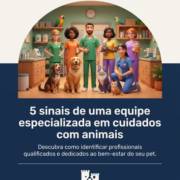 5 sinais de uma equipe especializada em cuidados com animais