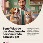 Benefícios de um atendimento personalizado para seu pet