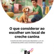 O que considerar ao escolher um local de creche canina
