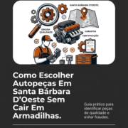 Como Escolher Autopeças Em Santa Bárbara D'Oeste Sem Cair Em Armadilhas