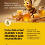 Descubra como escolher o mel ideal para suas necessidades