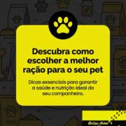 Descubra como escolher a melhor ração para o seu pet